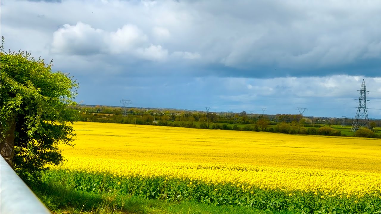 4K Spring in Ireland April 2026 🇮🇪 | Dublin Seaside and Yellow Flowers Field 