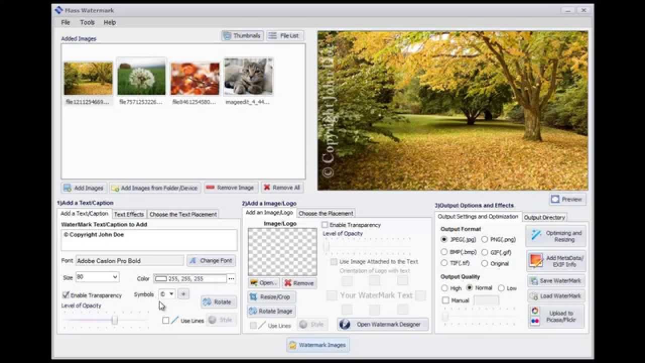 How to add Copyright Symbol and Text Watermark to Multiple Photos