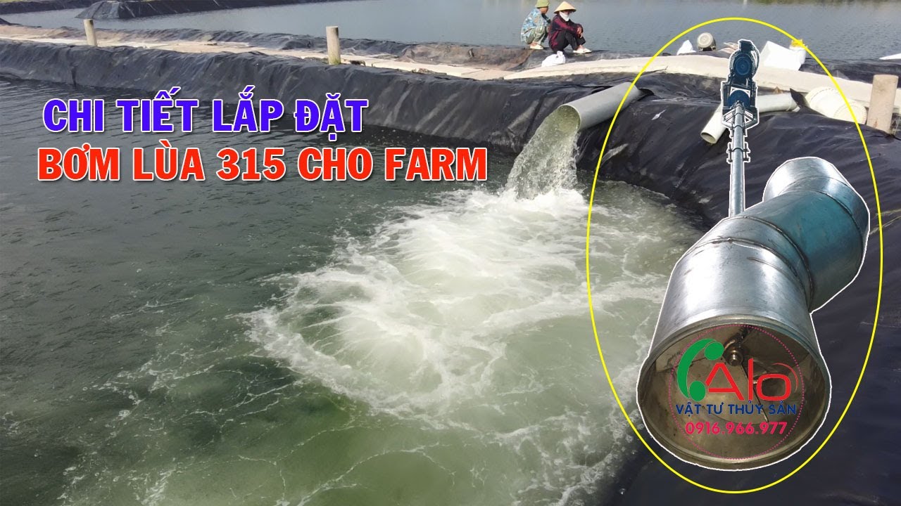 CHI TIẾT LẮP ĐẶT BƠM NƯỚC LƯU LƯỢNG LỚN CHO FARM | BƠM LÙA | BƠM TRÊN
