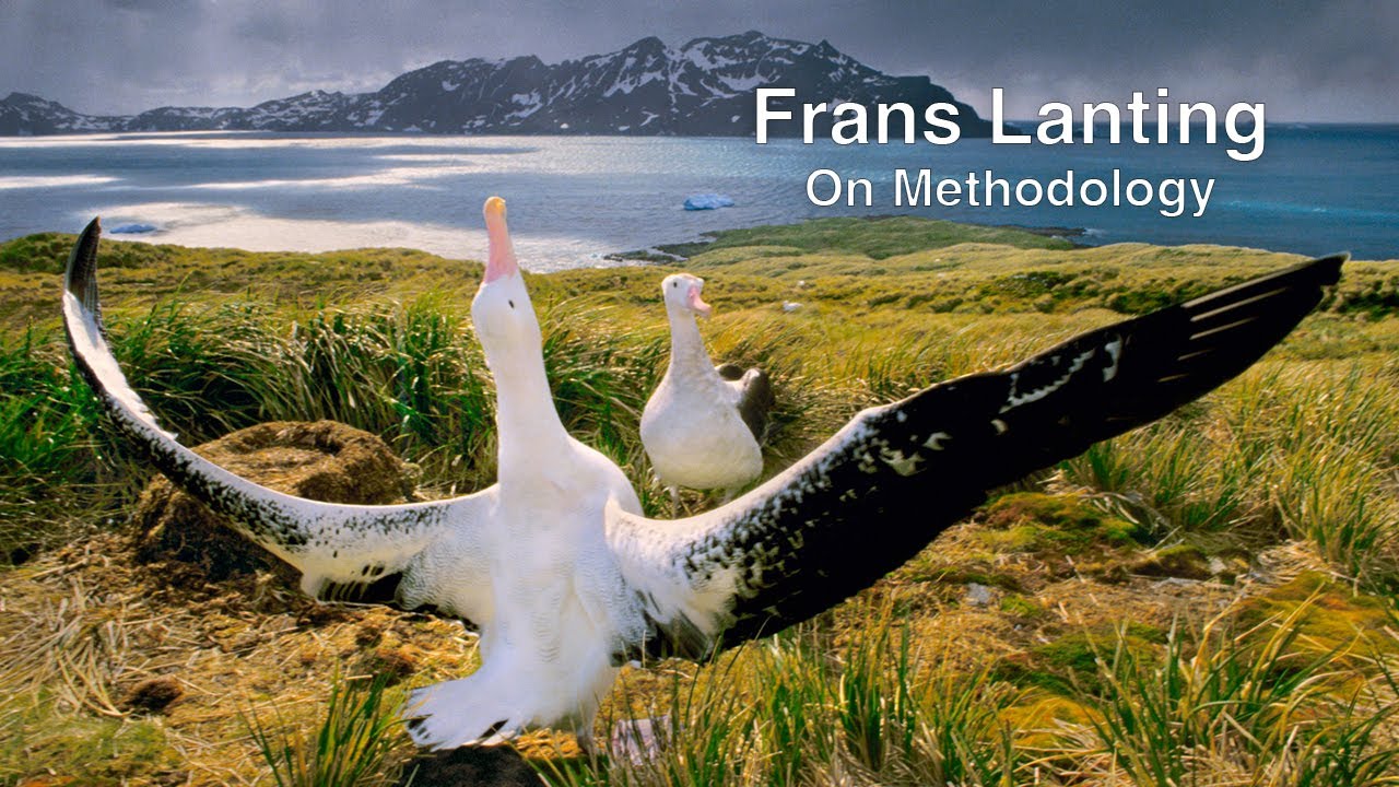 Frans Lanting On Methodology (2008) National Geographic photographer