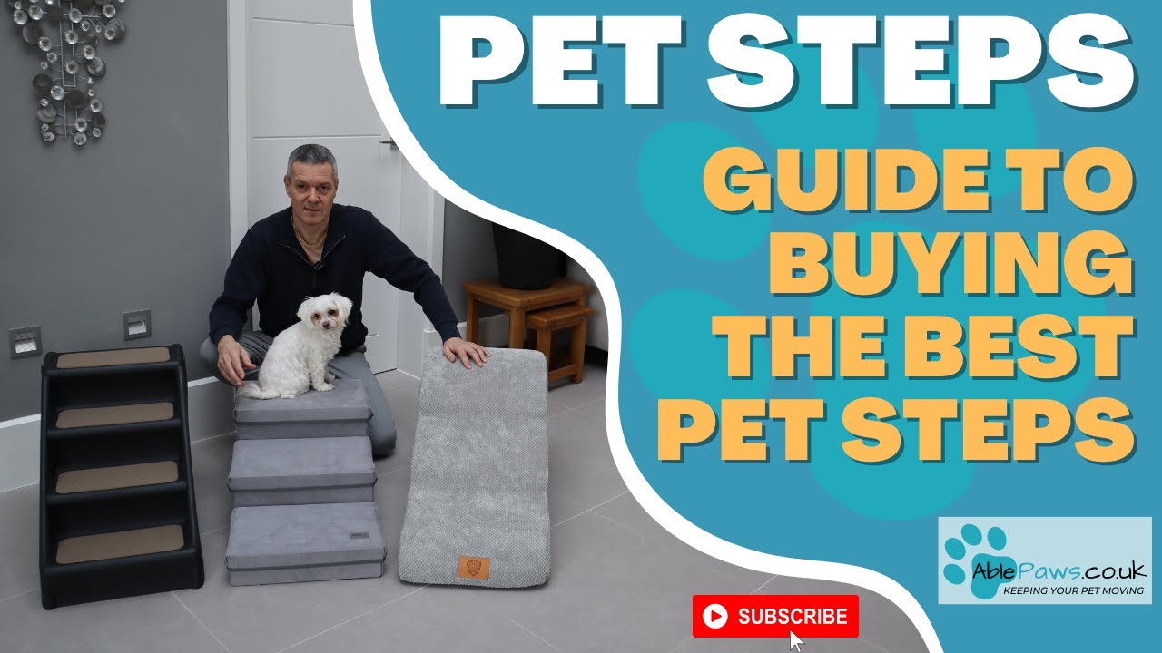 Guide To Buying The Best Pet Steps And Stairs UK 2023