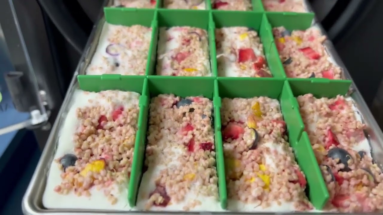 Crunchy and Delicious, Freeze Dried Yogurt, Quinoa, and Fruit Bars