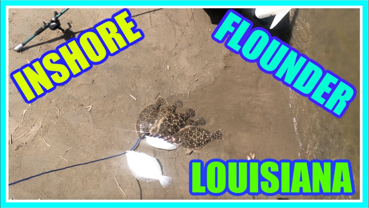 INSHORE FLOUNDER FISHING LOUISIANA! || Grand Isle, LA ||