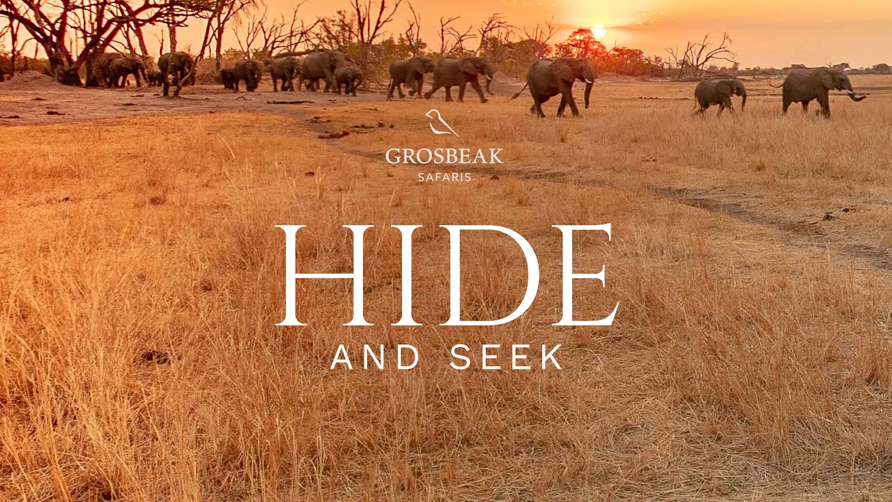 The Hide, Hwange National Park