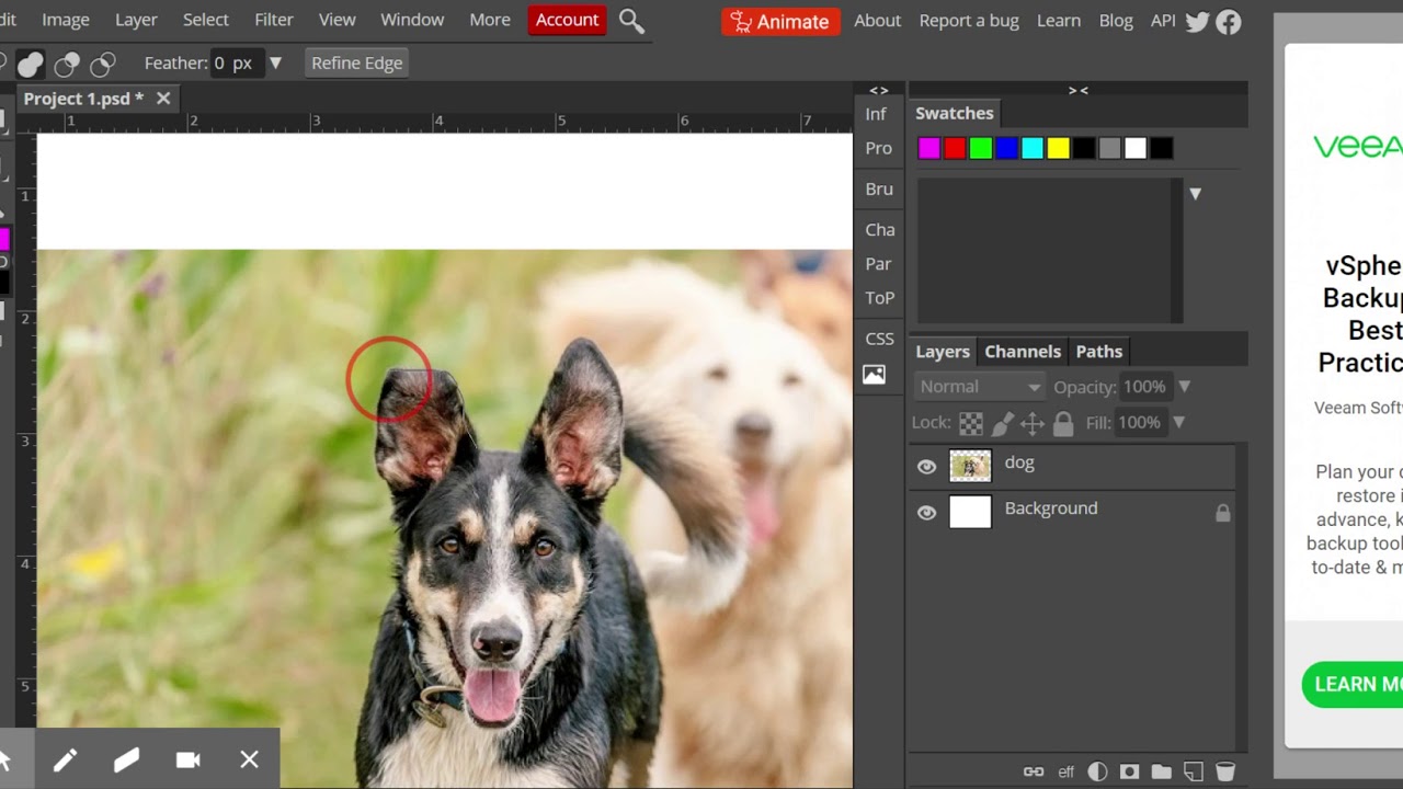 Photopea  Lasso Tools