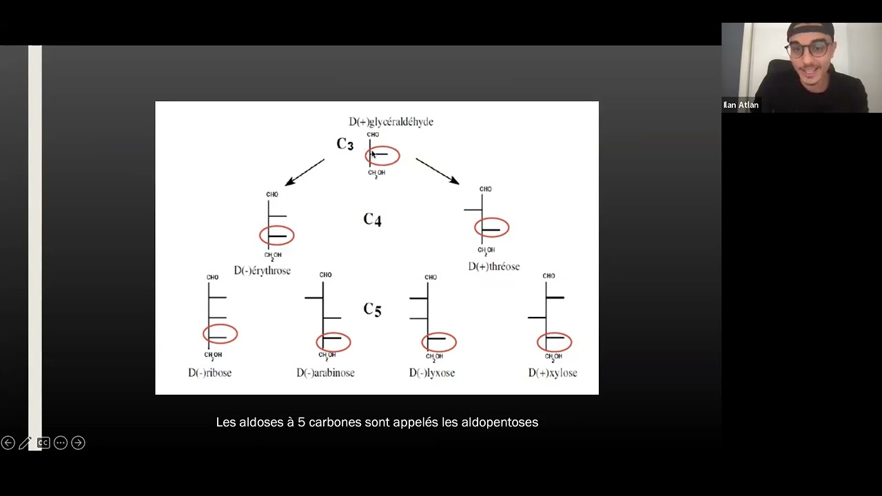 COURS UE1 INTRODUCTION GLUCIDES TERMINALE BY ILAN ATLAN