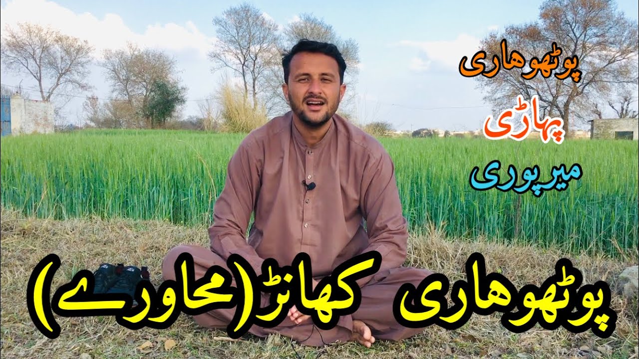 Pothwari Language Muhawry || Potwhari Idioms ||پوٹھوہاری کھانڑ