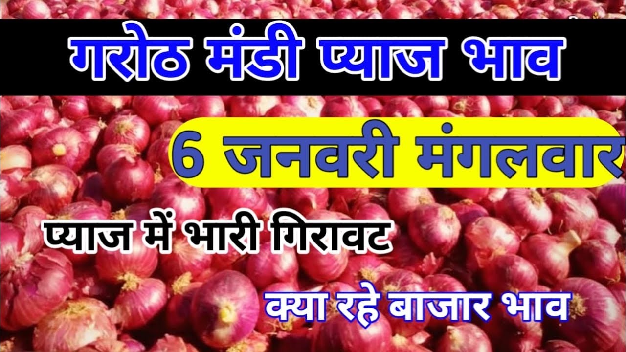 गरोठ मंडी प्याज का भाव | शामगढ़ मंडी प्याज भाव | Shamgarh mandi pyaj bhav today | Garoth mandi bhav 