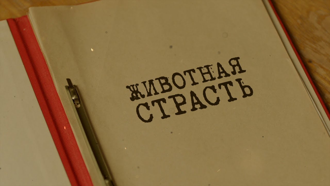 Животная страсть | Вещдок. Особый случай. Роковая страсть