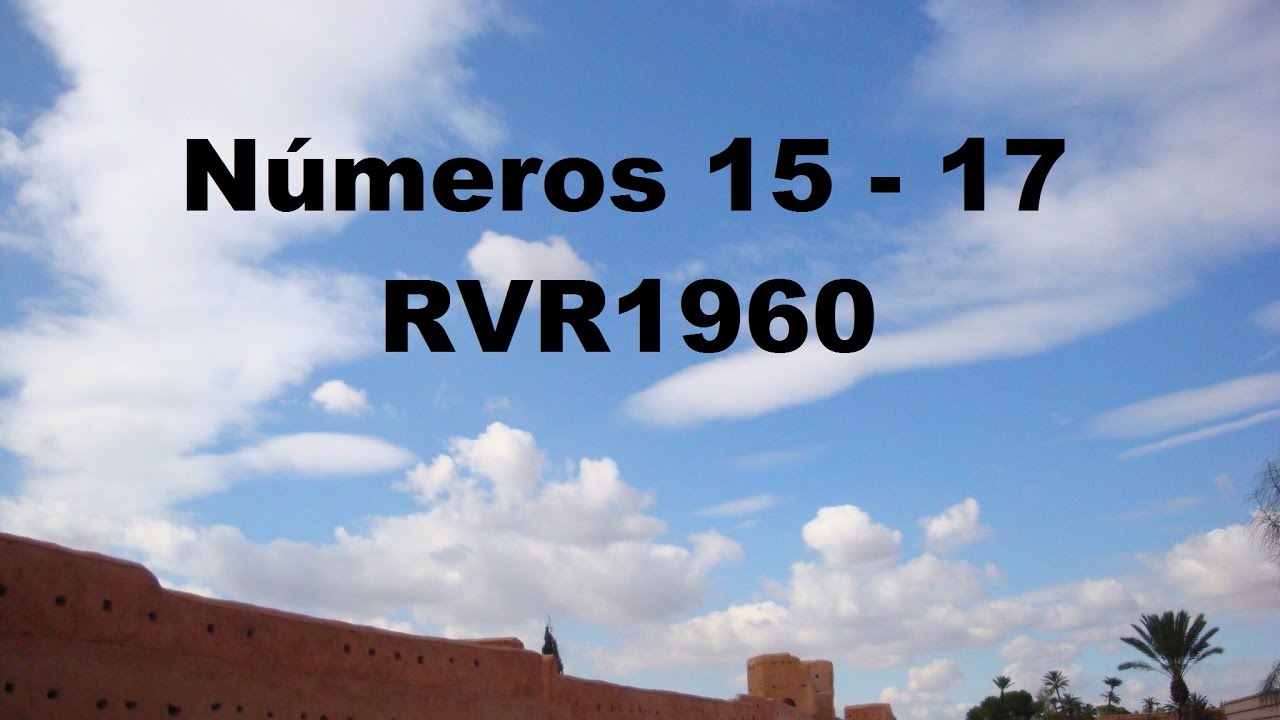 La Biblia en un a&ntilde;o/N&uacute;meros 15-17 (Audio, Letra) D&iacute;a 80