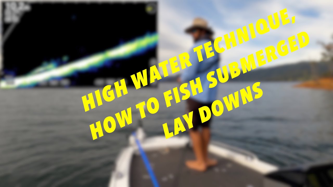 How to fish submerged laydowns for Golden Perch in dams.