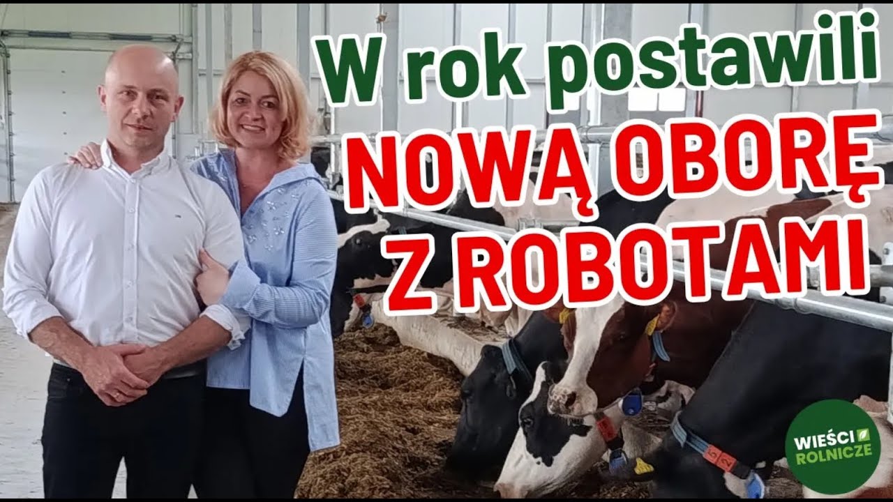 Nowa obora z dwoma robotami i z dwoma stołami paszowymi