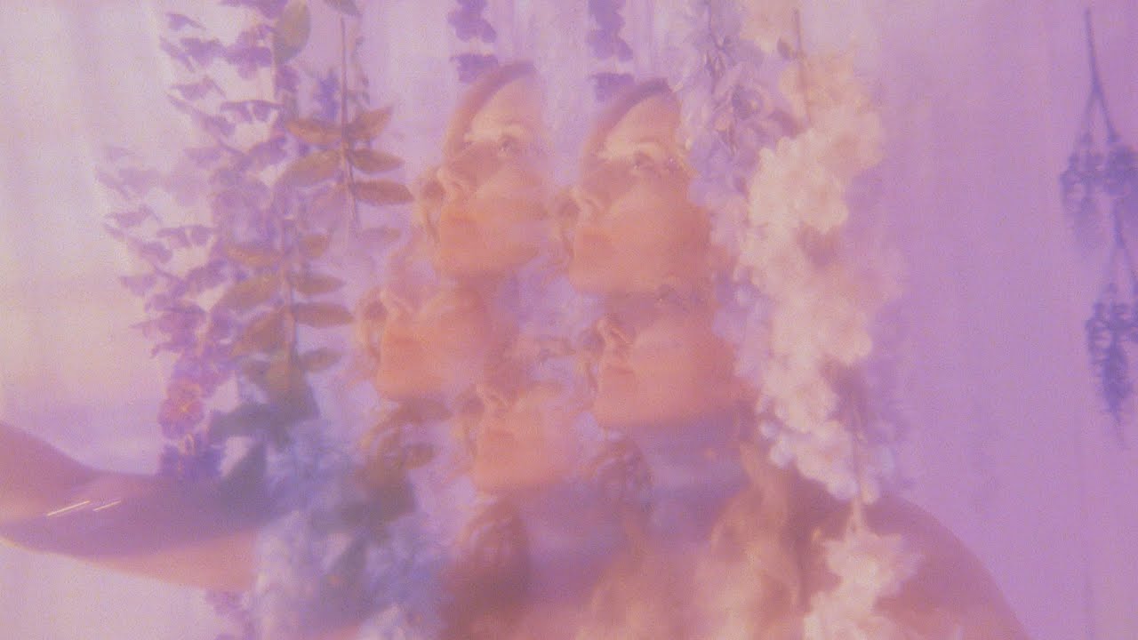 Lavender Daydream