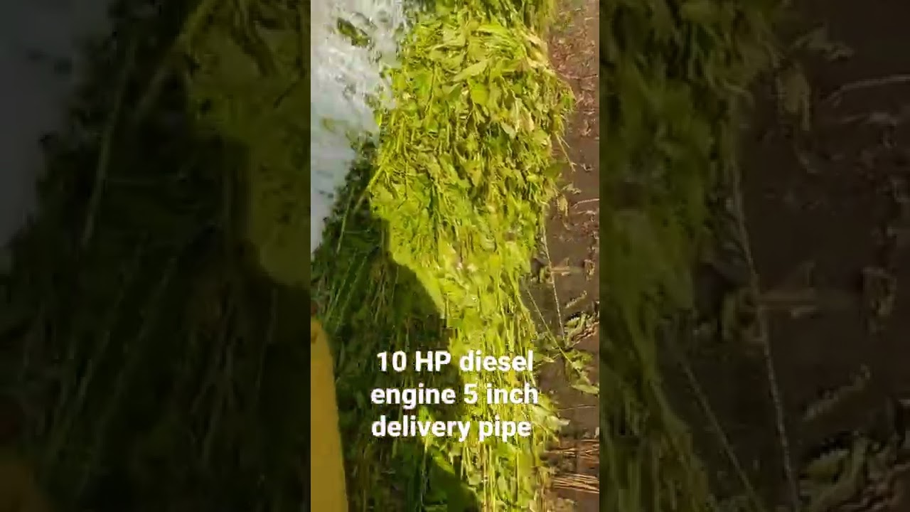 10 HP diesel engine water could 5 inch delivery pipe