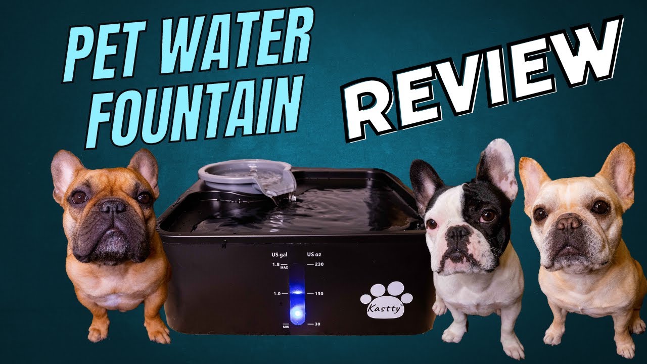Kastty Pet water Fountain Review