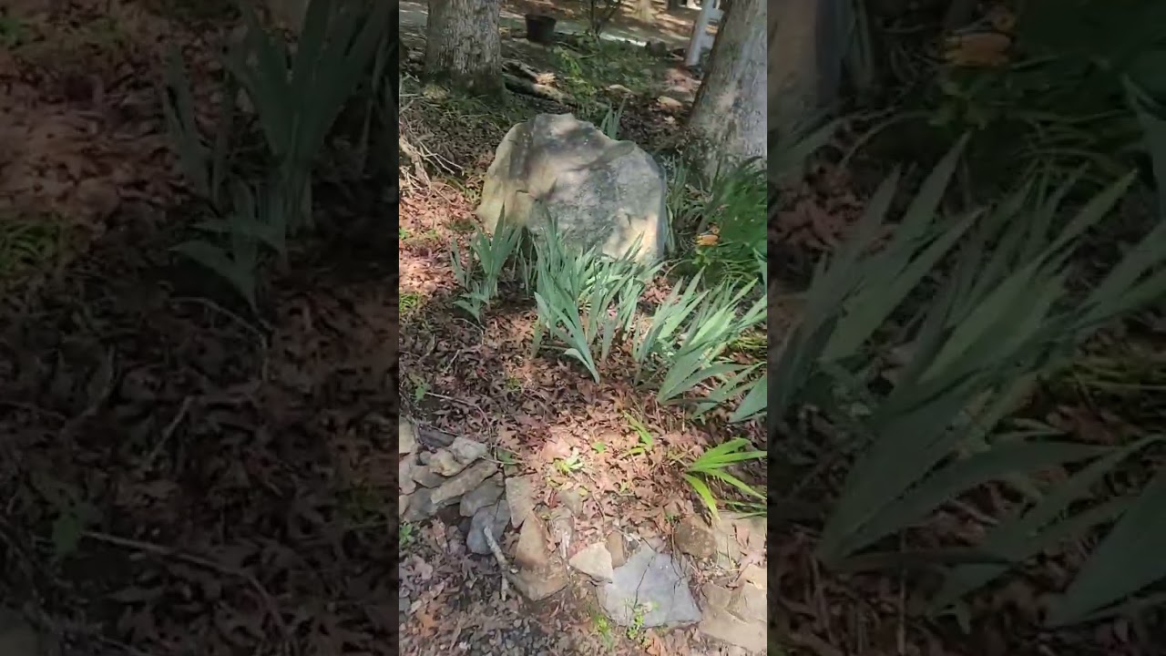 Something different! Landscaping job back in the summer! 