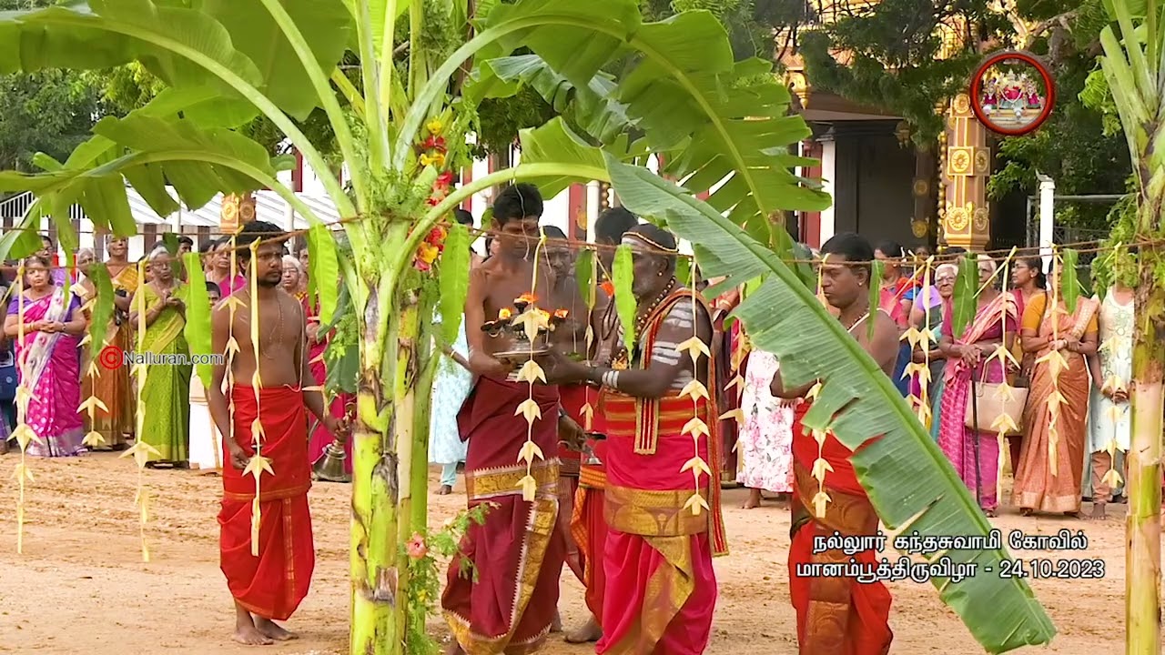 நல்லூர் கந்தசுவாமி கோவில் மானம்பூத்திருவிழா - 24.10.2023 #nallurkanthasuwamikovil #nallur2023