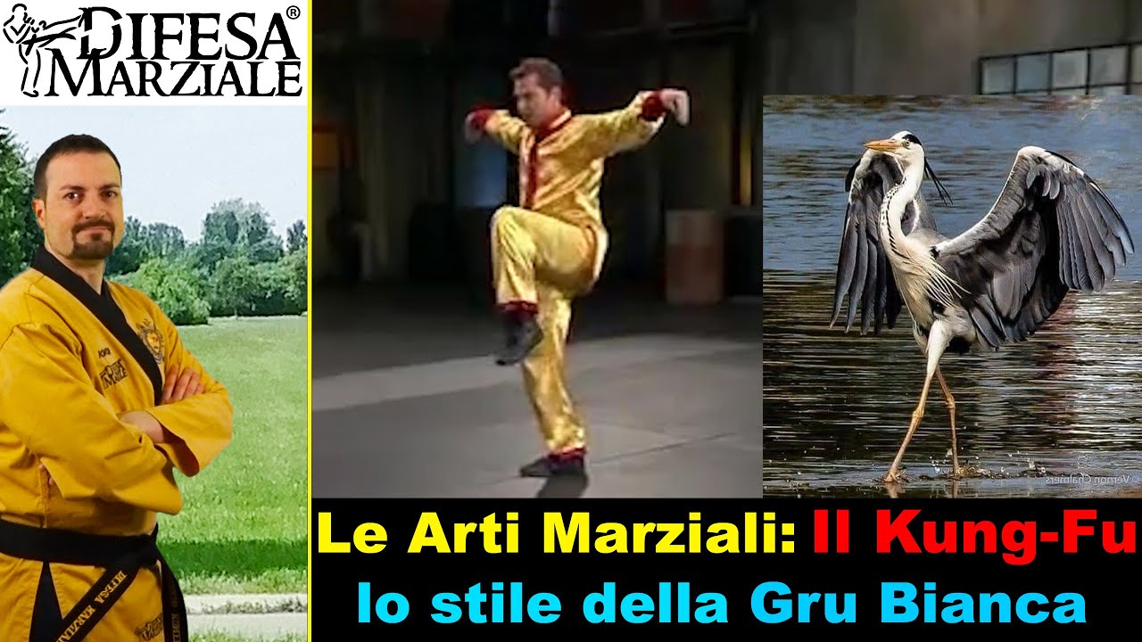 Le Arti Marziali: Il Kung-Fu  - lo stile della Gru bianca