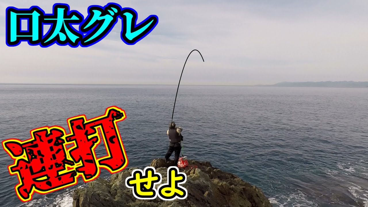 小さい尾長グレの中から・・・