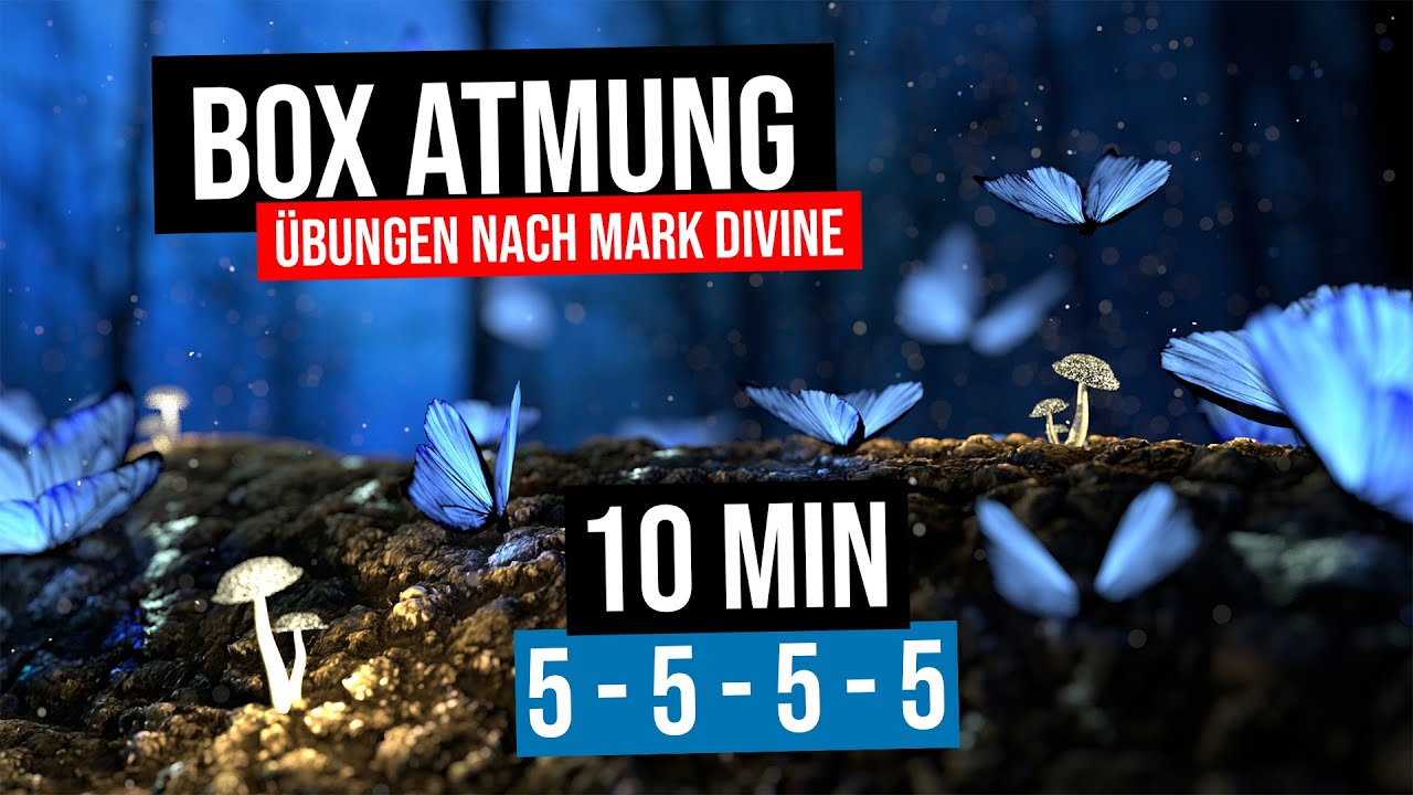 Atem-Meditation Box-Atmung (NavySeal Box Breathing) &Auml;ngste u. Stress abbauen, Energie-Level erh&ouml;hen