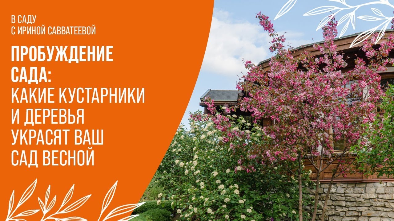 От почек до цветов: весенний сад в деталях