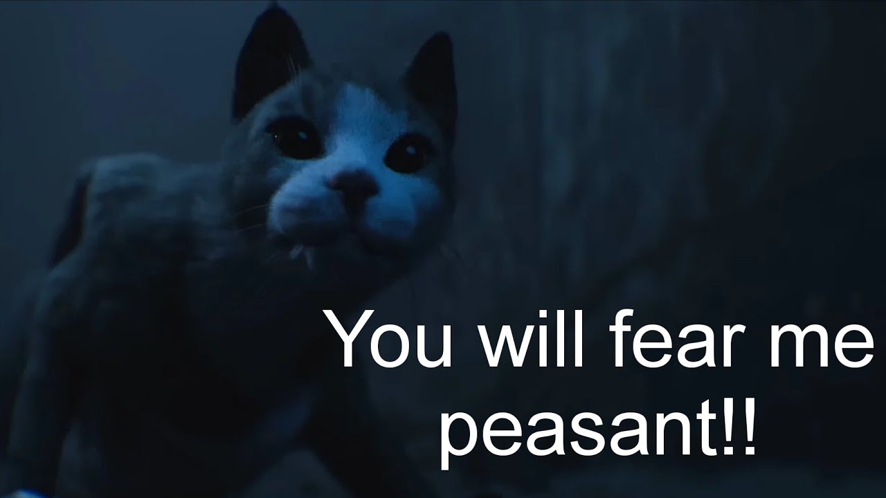 Cronos Enemies Are Scared of Cats