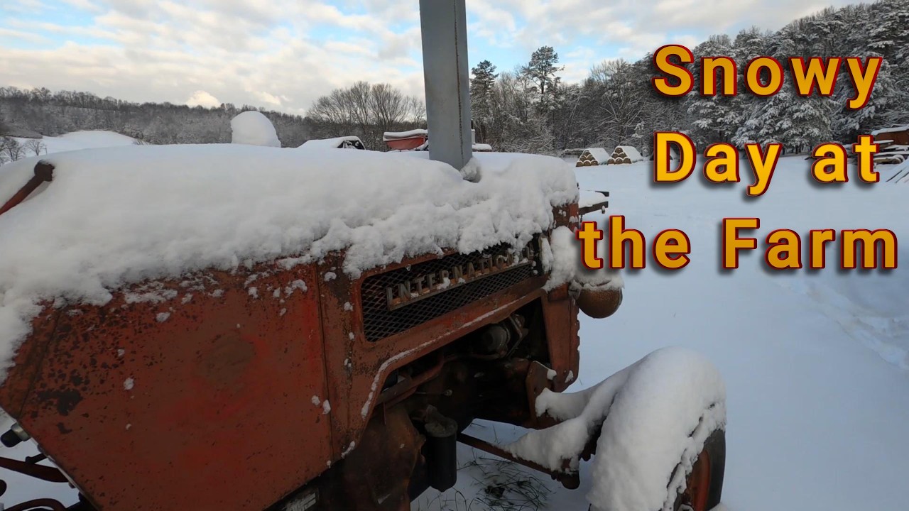 Winter Preparation at the Farm...... Did it Work?  Part 2