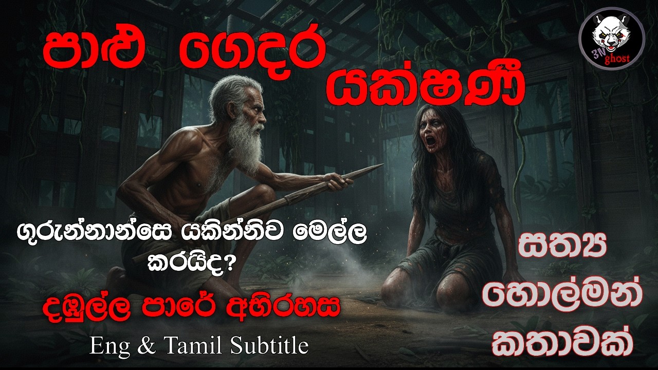 එළවලු ගේන්න ලොරියෙන් දඹුල්ලට ගිය රියදුරෙකුගේ බිහිසුණු අත්දැකීම |@3NGhost| ghost story 506
