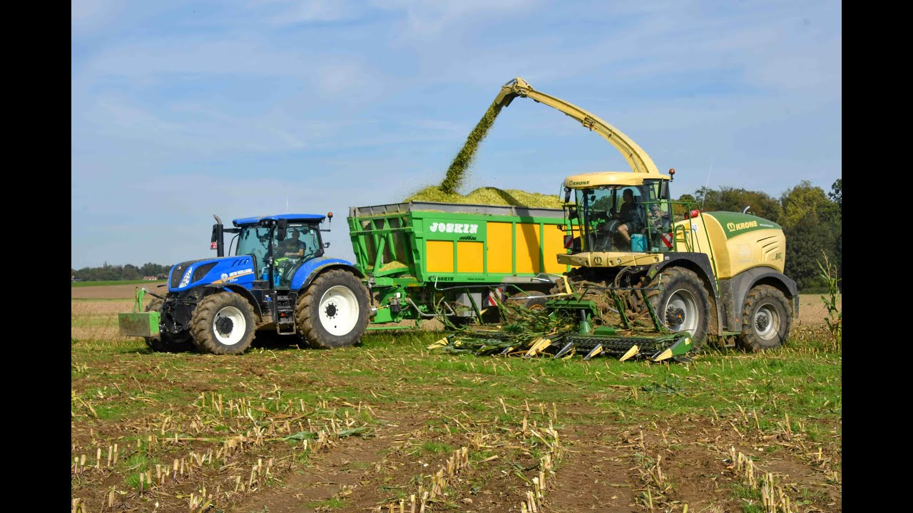 Entreprise agricole Vynckier agri a l ensilage des maïs avec une Krone BigX580