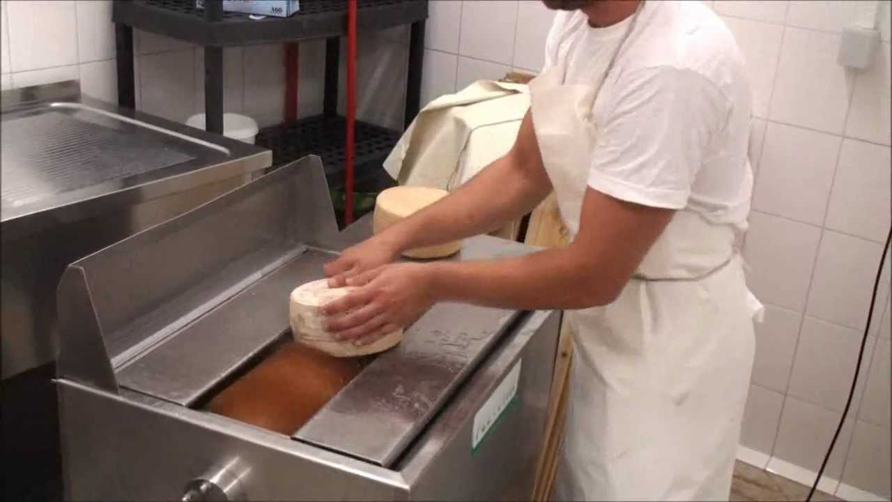 Plevnik cheese washing machine PS