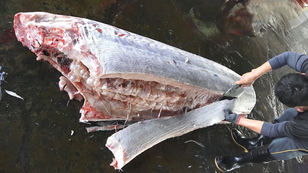 Как разделать гигантскую рыбу марлин весом 300 кг