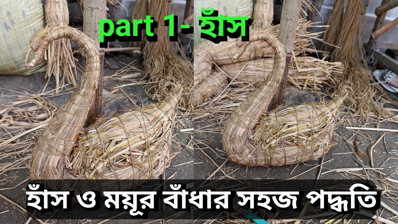 হাঁস বাঁধার সহজ পদ্ধতি 2023 ।। খড় থেকে হাঁস বাঁধার সহজ পদ্ধতি। haas badhar sahoj paddhati..
