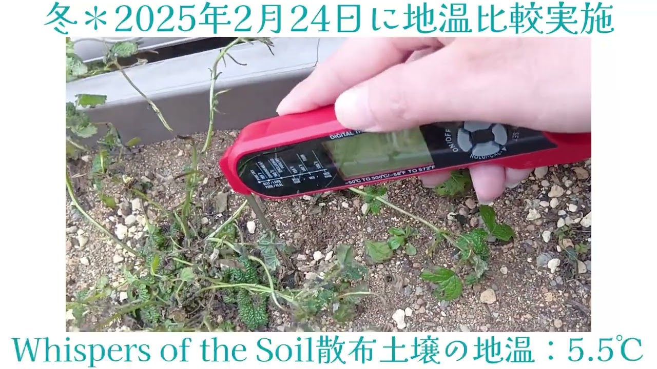 雨土Amazing Soil ♡PRESENTS♡ Whispers of the SOILで冬場の地温上昇
