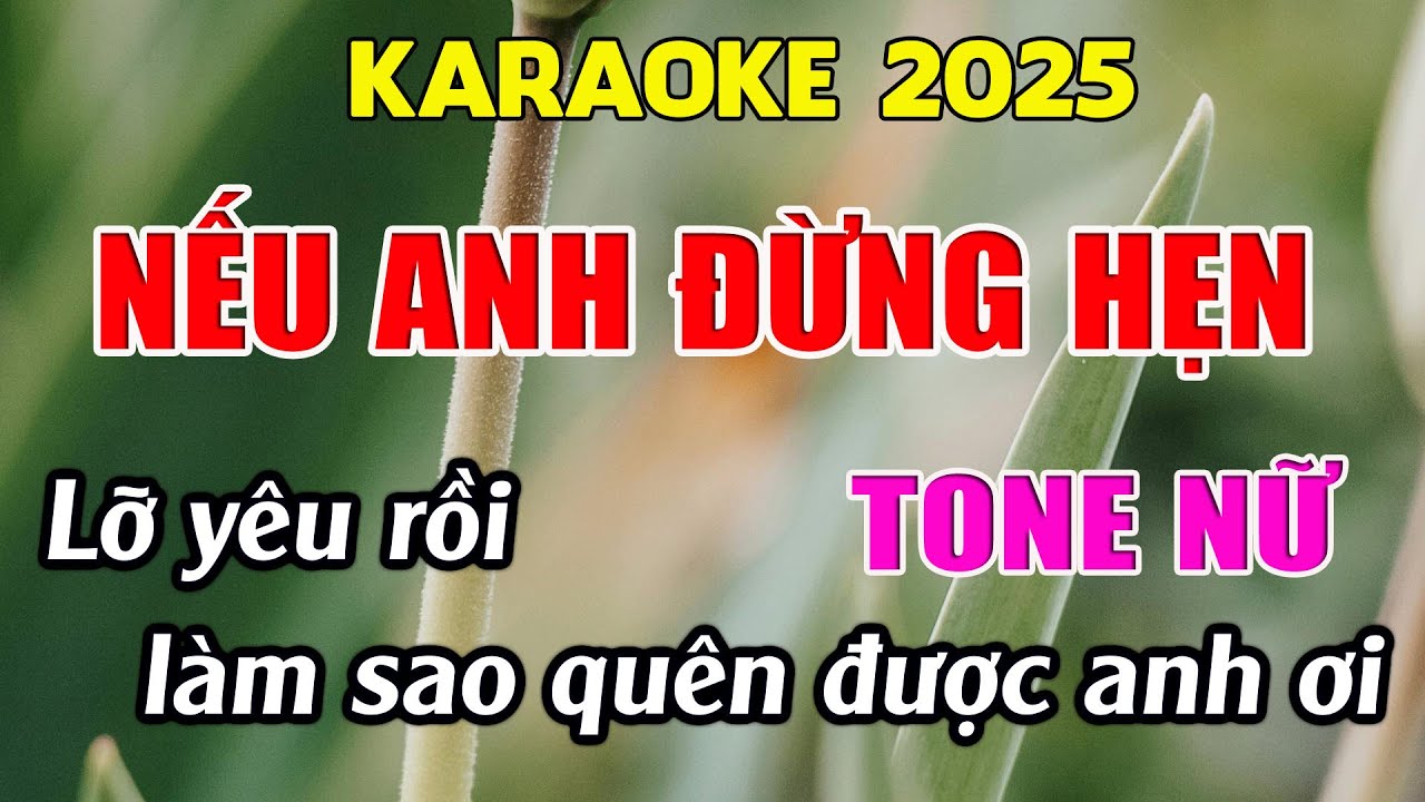 Nếu Anh Đừng Hẹn Karaoke Tone Nữ Karaoke Giang Organ - Beat Mới