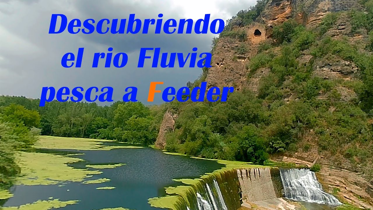 Pesca a FEEDER en el rio Fluvia ¡una experiencia inolvidable!