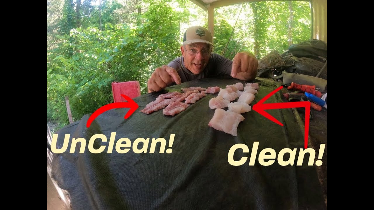 How Clean Do I Need to Clean My Catfish?