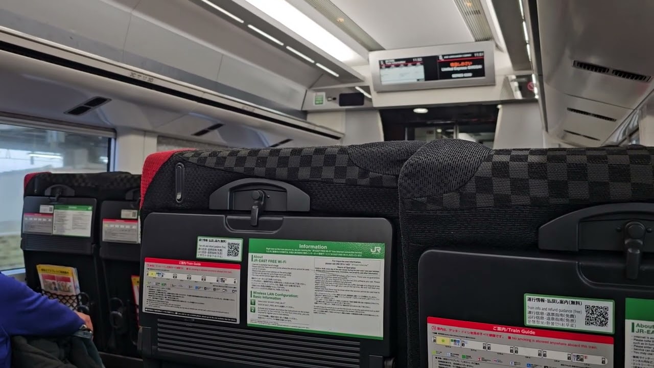 JR東日本 特急しおさい10号 東京行き 次は錦糸町
