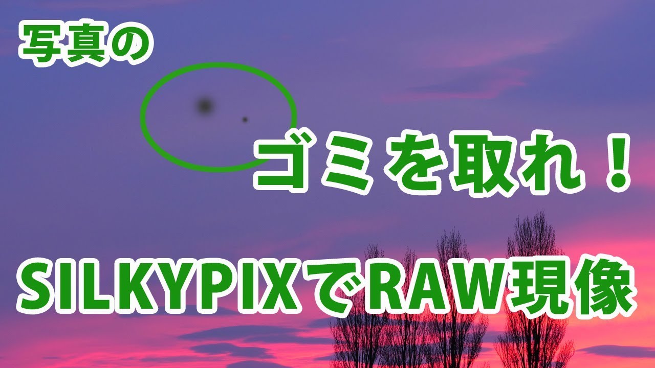 RAW現像でゴミを取れ！SILKYPIXのゴミ取り機能の使い方