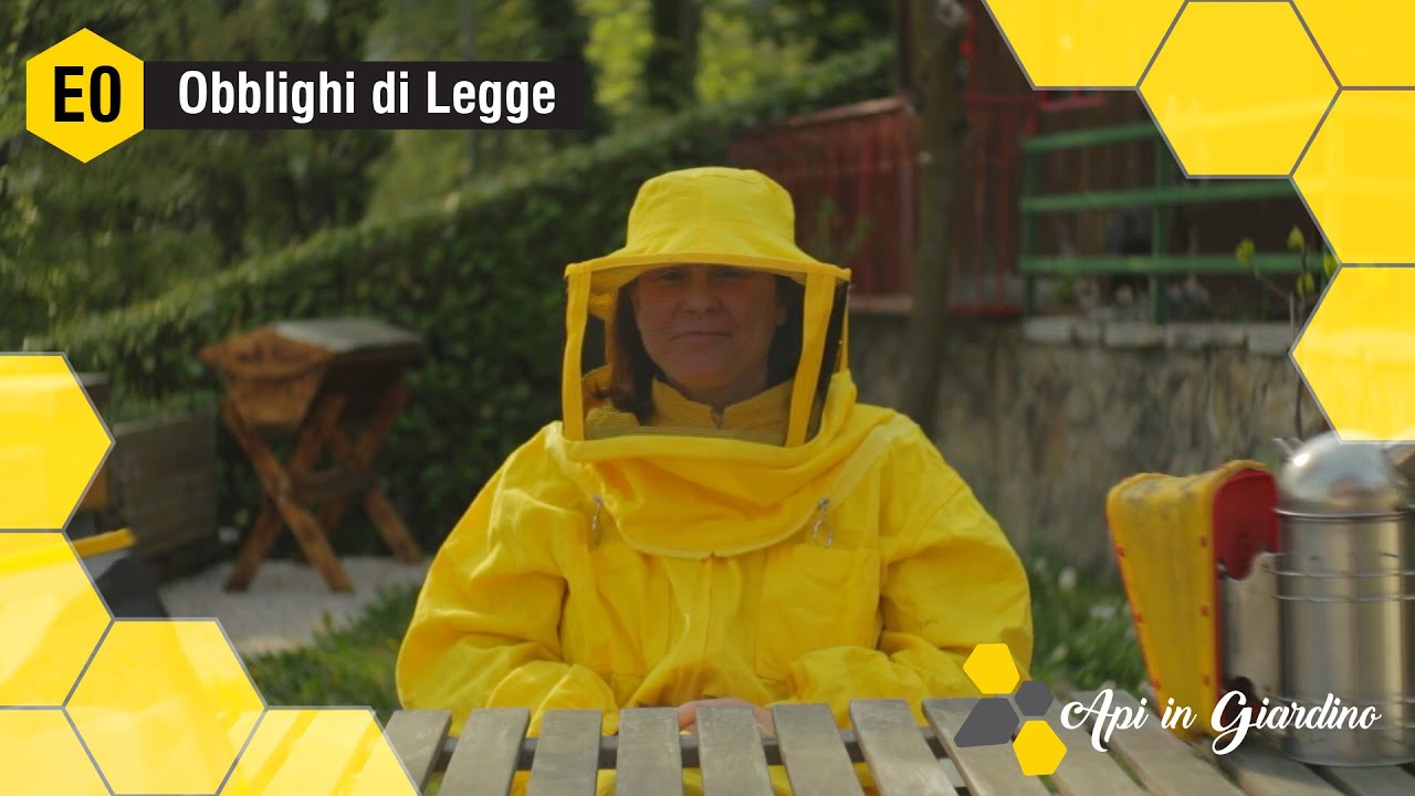 AiG E0 - Prima delle Api: obblighi di legge