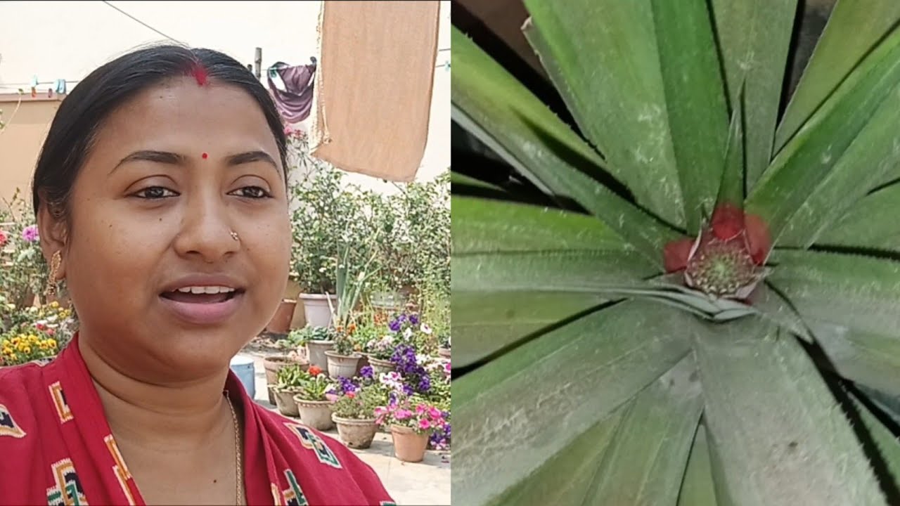 Finally......তিন বছর পর দেখা পেলাম ।#banglavlog 