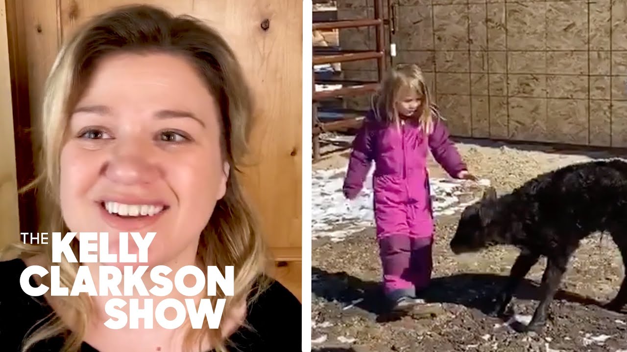 Kelly Clarkson's Daughter Befriends Newborn Calf In Sweet Video | Digital Exclusive