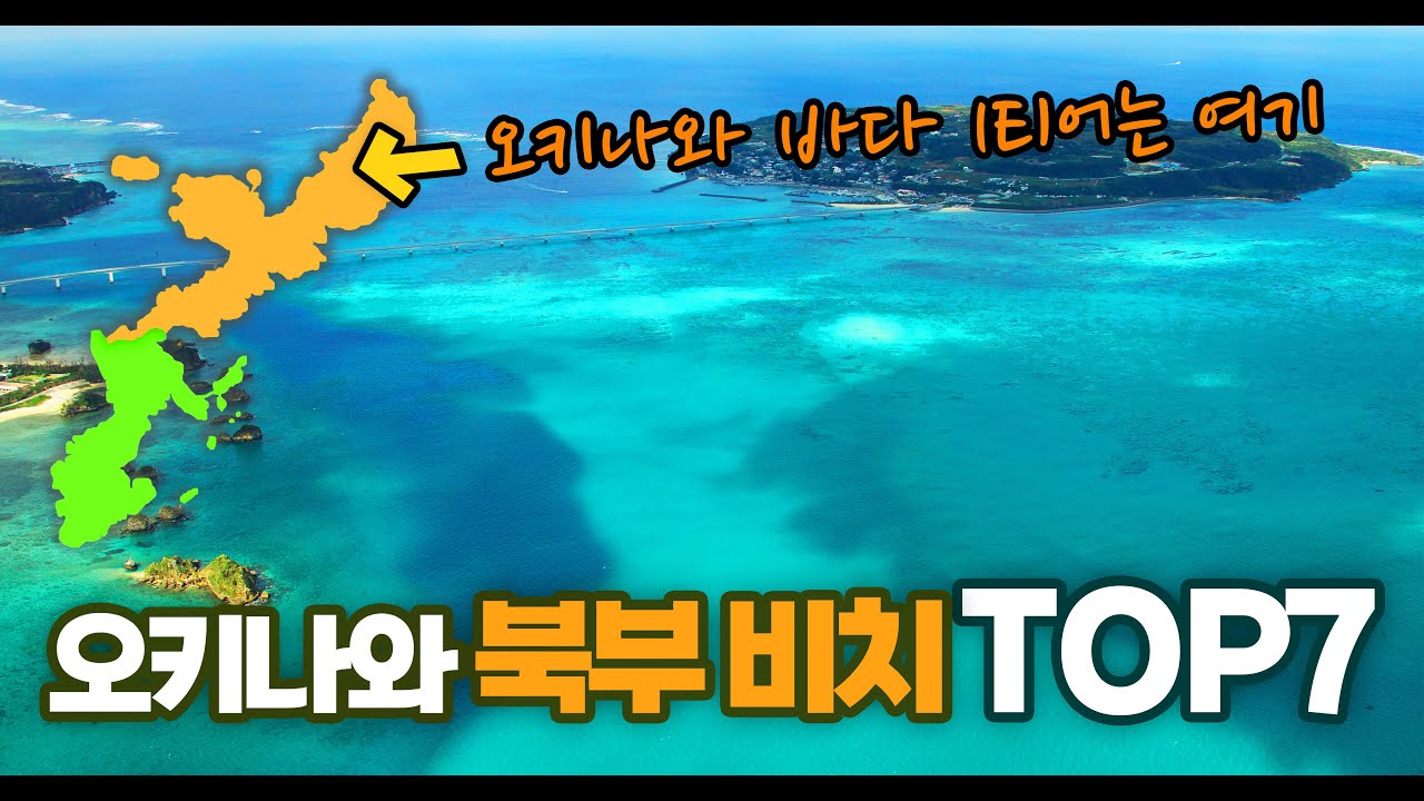 오키나와 바다는 북부가 진짜다? 오키나와 바다의 끝판왕