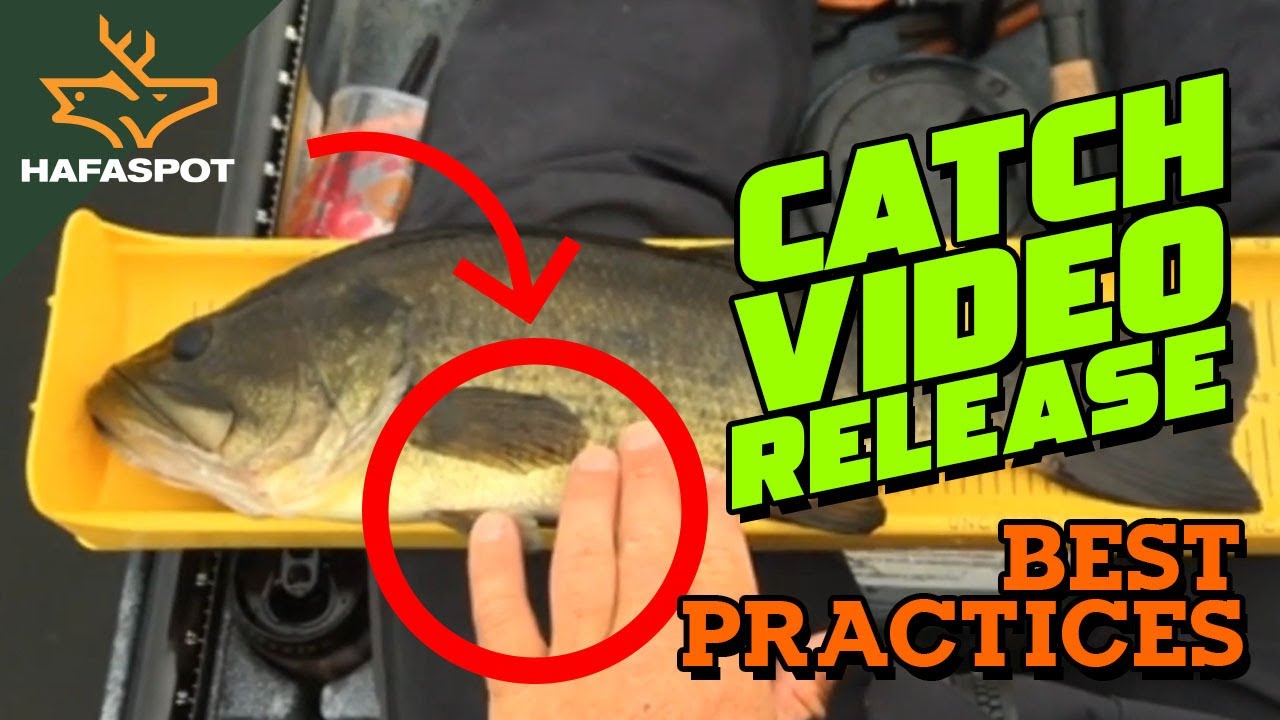 HAFASPOT - VIDEO BEST PRACTICES FOR ONLINE FISHING TOURNAMENTS BASS