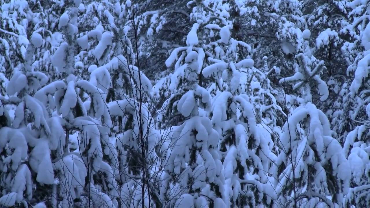 Kotimaani Suomi Leevi Madetoja My country, Finland -  - मेरा देश, फिनलैंड