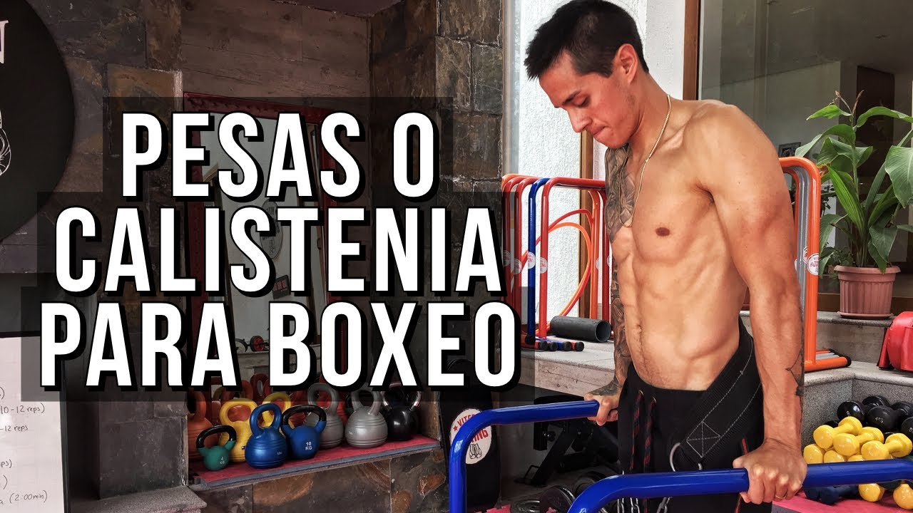 ¿Qué es mejor para boxear la CALISTENIA o las PESAS?