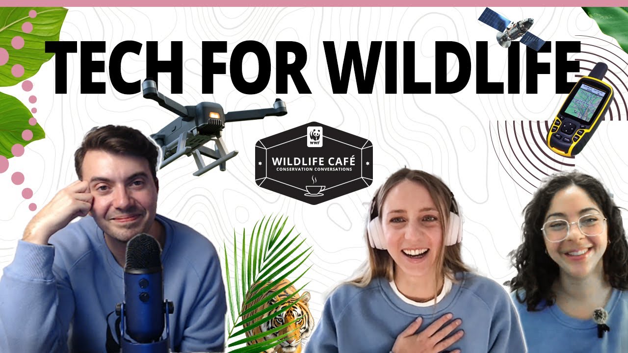 What is the role of technology in wildlife conservation? Tools, techniques, and a new frontier.
