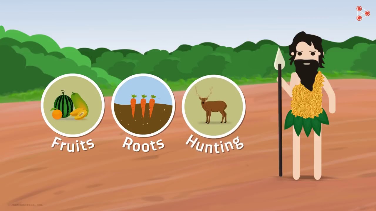 CBSE GRADE 08 SOCIAL SCIENCE CHAPTER 24 AGRICULTURE