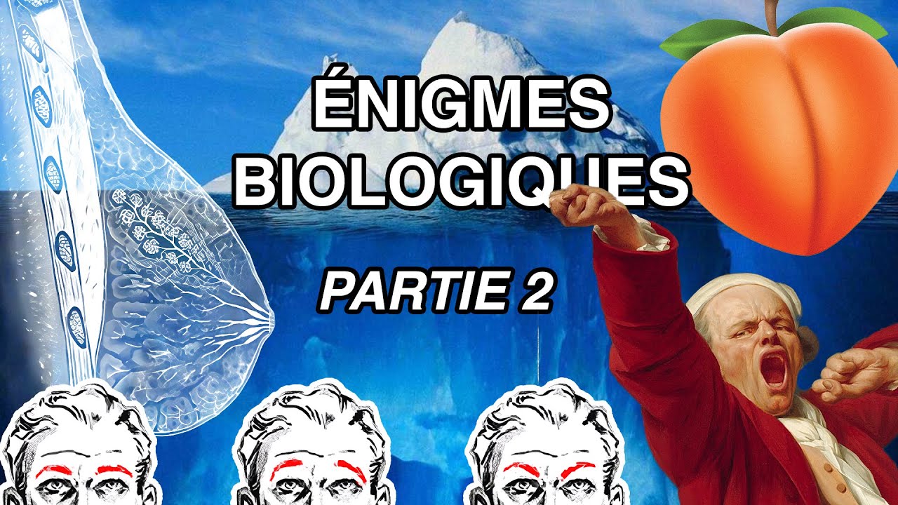 L'Iceberg Des Mystères Inexpliqués Du Corps Humain - PARTIE 2