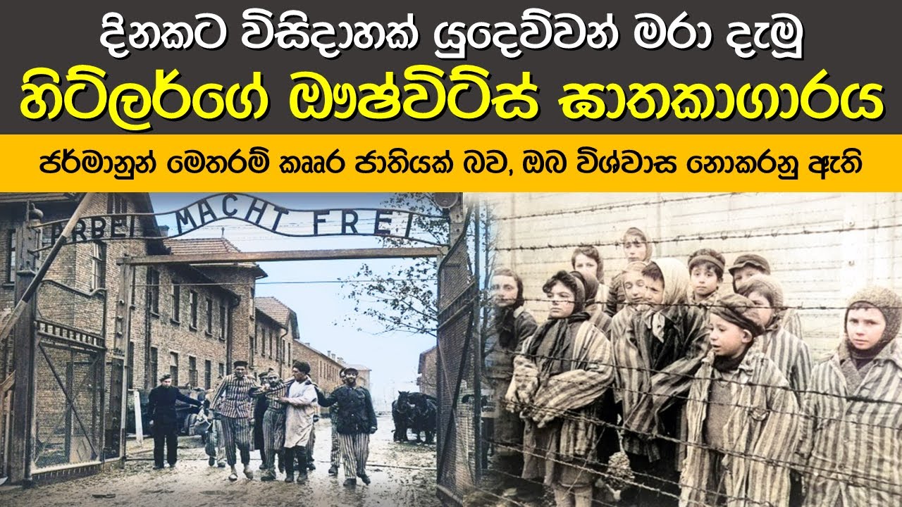 යුදෙව් සමූලඝාතනයේ මහගෙදර නොහොත් ඖෂ්විට්ස් ඝාතකාගාරය | Auschwitz: Epicenter of the Holocaust