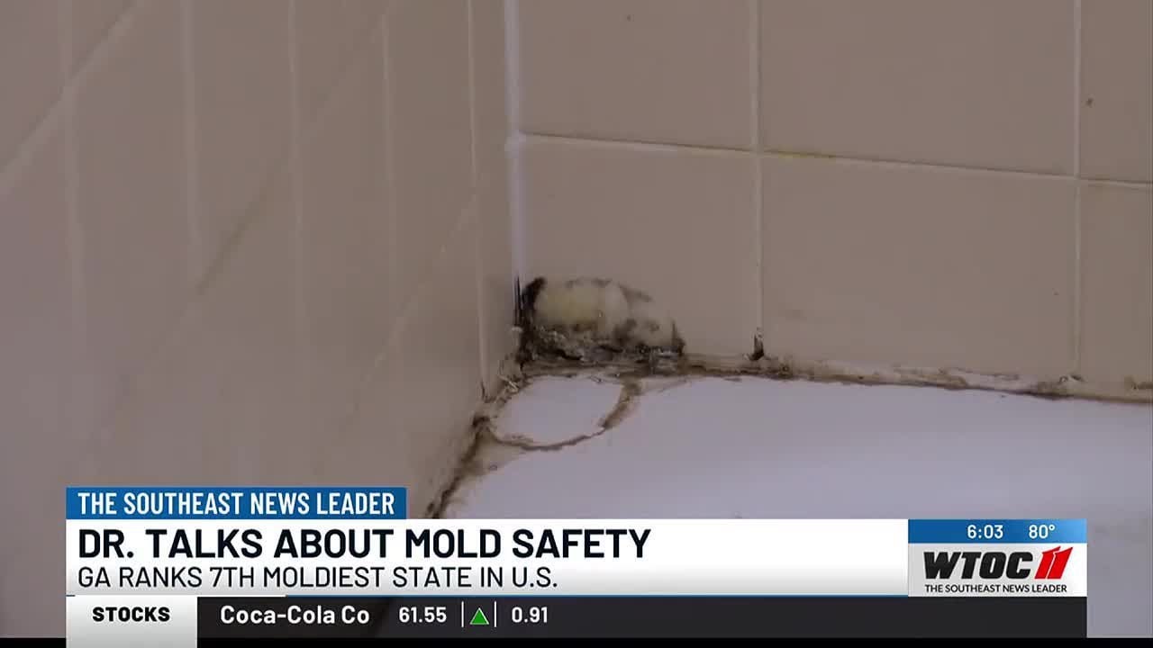 Georgia ranks as seventh moldiest state in the country